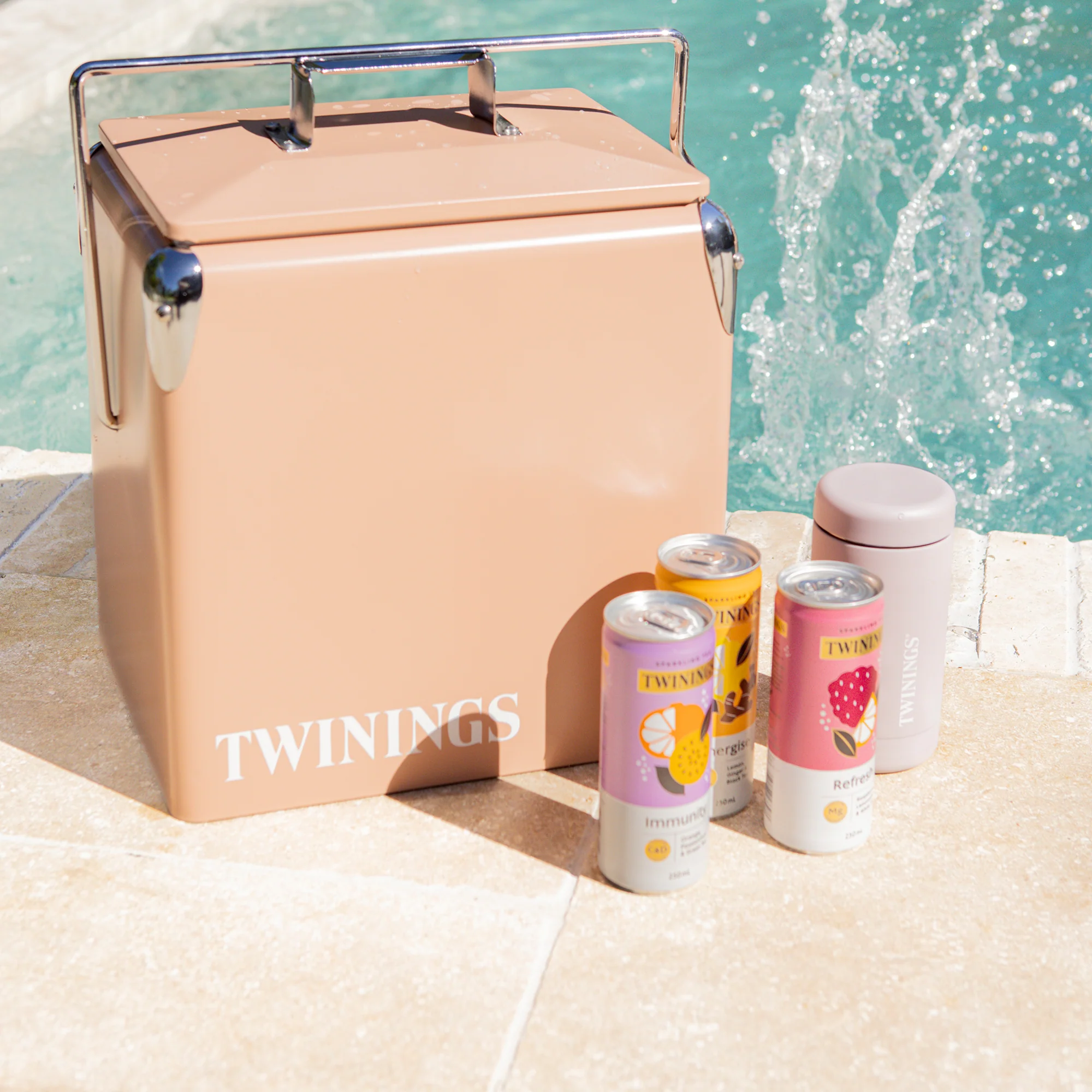 Sparkling Tea variety 6 pack - Image 4