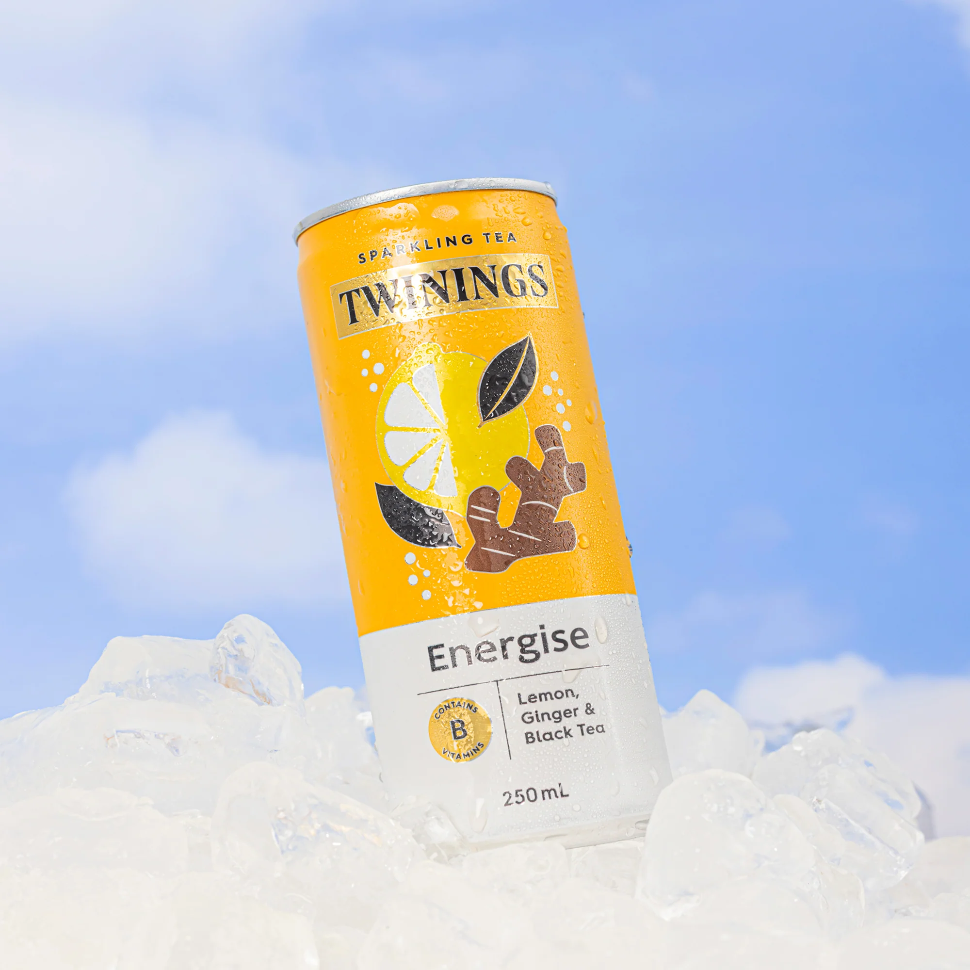 Sparkling Tea variety 24 pack - Image 4