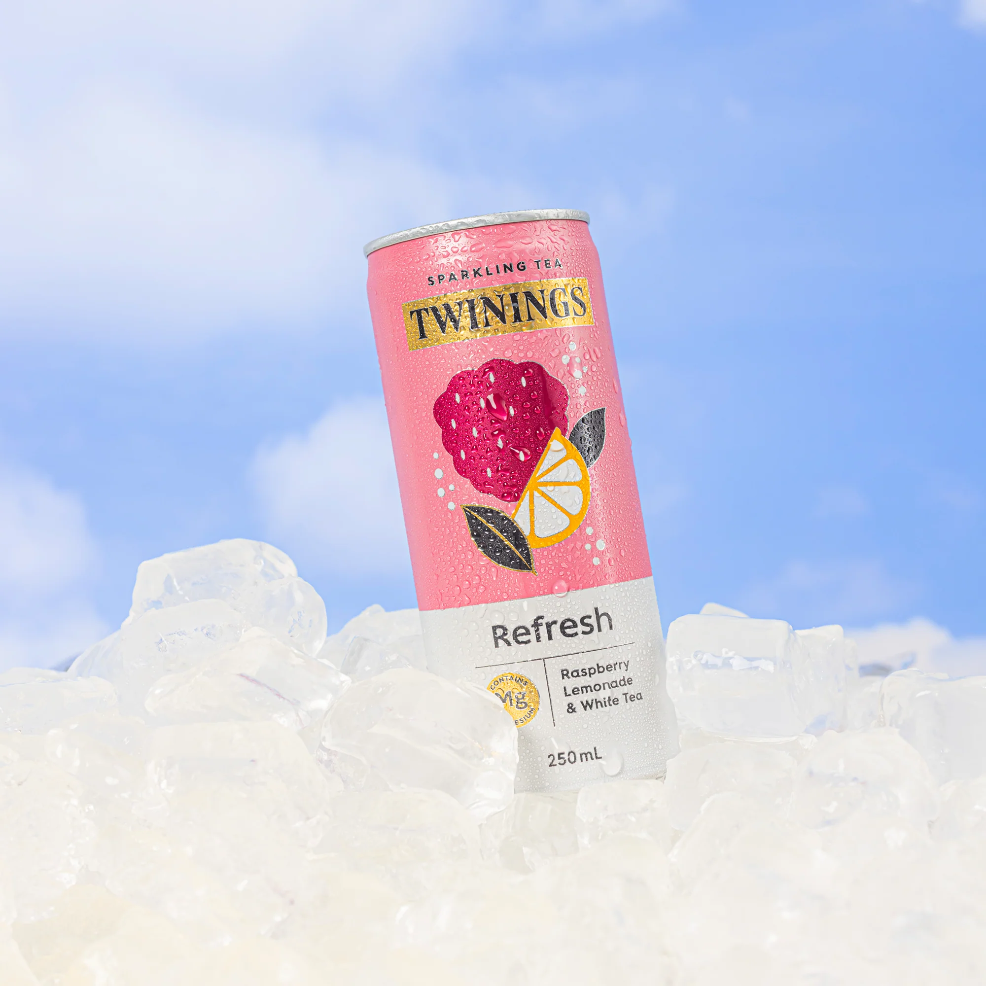 Sparkling Tea variety 24 pack - Image 6